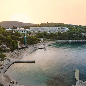 Pine Bay Resort